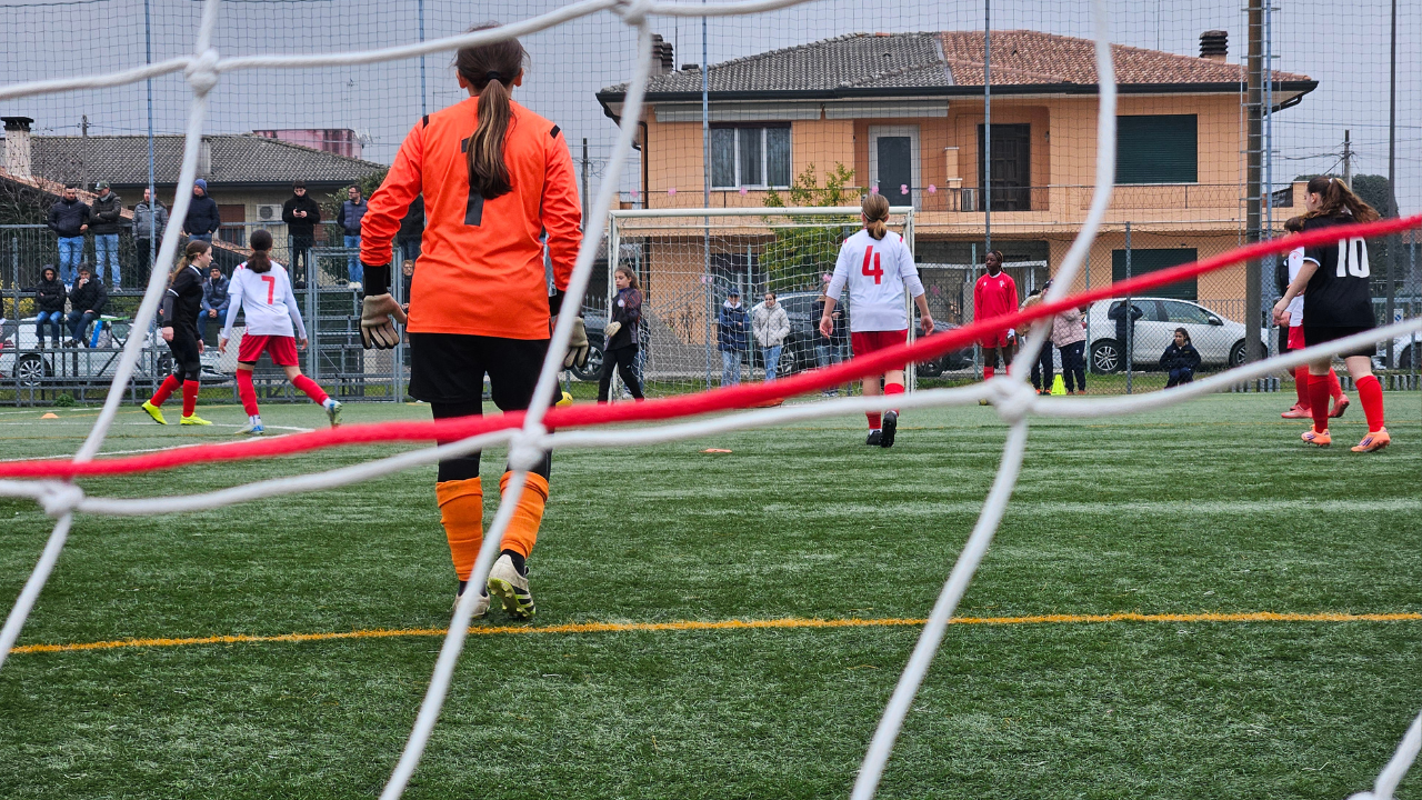 padova rovigo treviso danone 01.03.2026 14