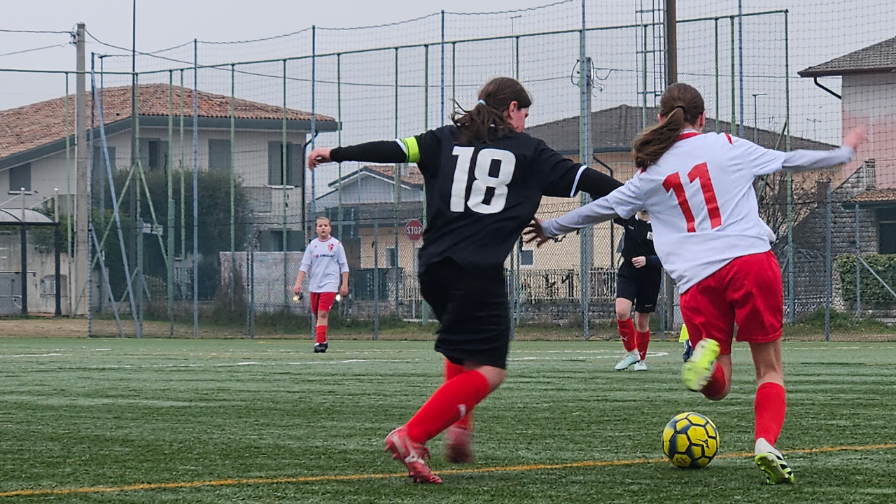 padova rovigo treviso danone 01.03.2026 18