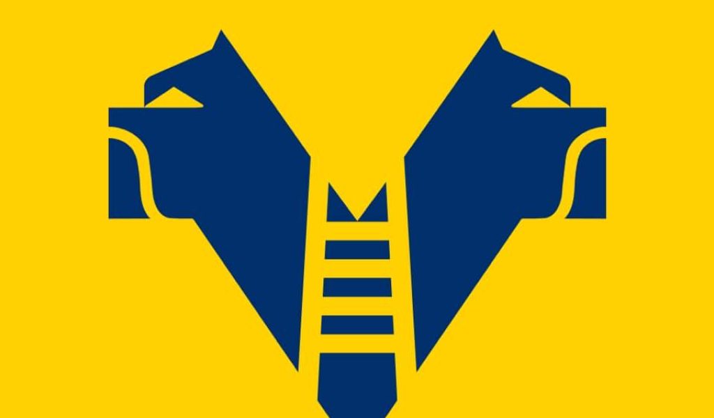 logo-hellas-verona-women